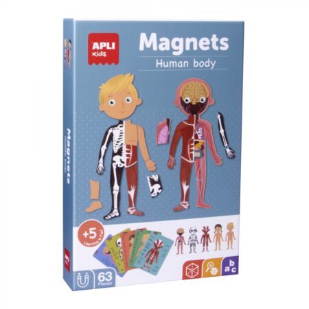 Magnetyczna układanka Ciało człowieka - Apli Kids